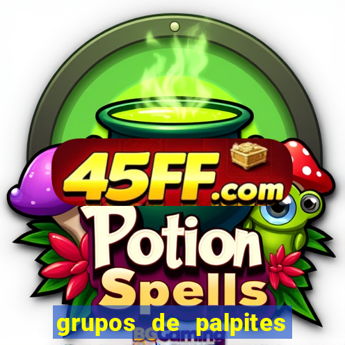 grupos de palpites de futebol whatsapp